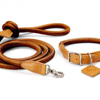 Ray Collar + Leash Set