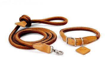 Ray Collar + Leash Set