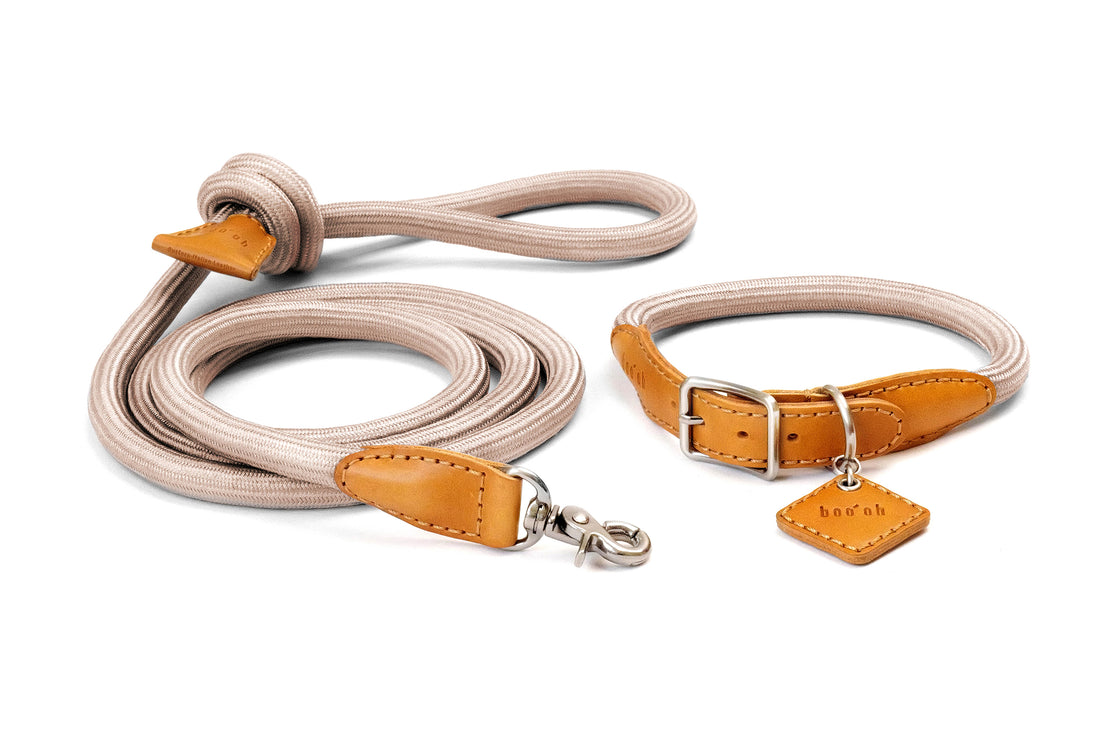 Ray Collar + Leash Set