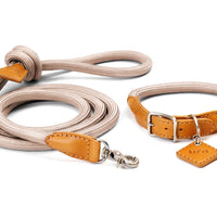 Ray Collar + Leash Set