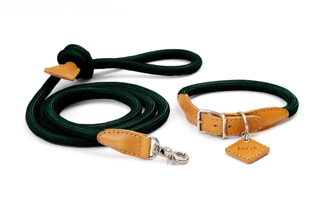 Ray Collar + Leash Set