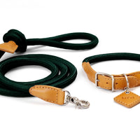 Ray Collar + Leash Set