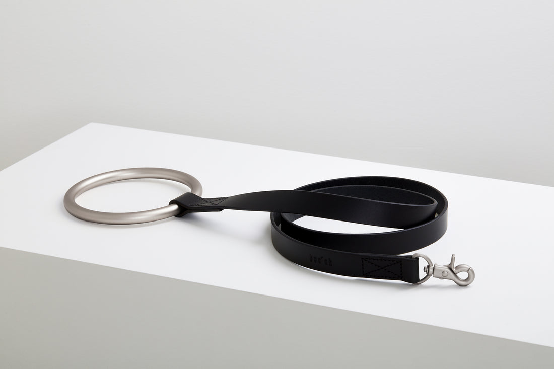 Lumi Leash - Limited Edition