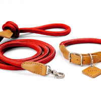 Ray Collar + Leash Set