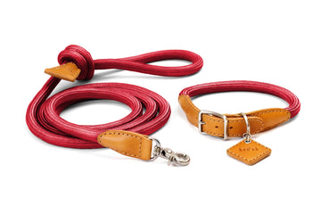 Ray Collar + Leash Set