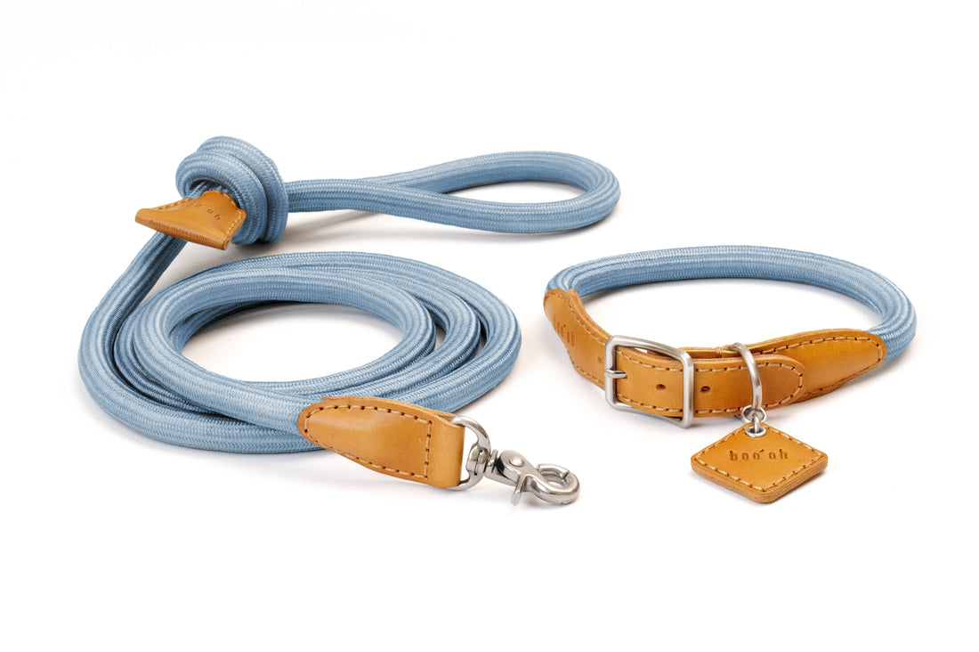 Ray Collar + Leash Set