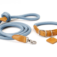 Ray Collar + Leash Set