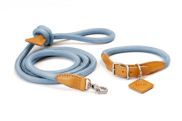 Ray Collar + Leash Set